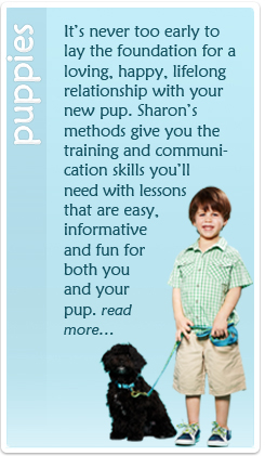 Puppies_Training_Button