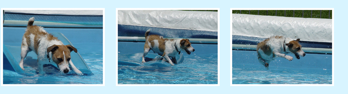 Training_Tips_Sequence-2